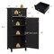 Wooden Storage Free-Standing Floor Cabinet with Drawer and Shelf